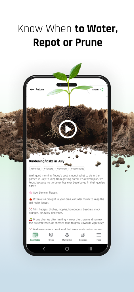 PLANTIS - Plants care - Plantis 앱 인터페이스가 월별 원예 작업과 전문가의 식물 관리 팁을 보여줍니다.