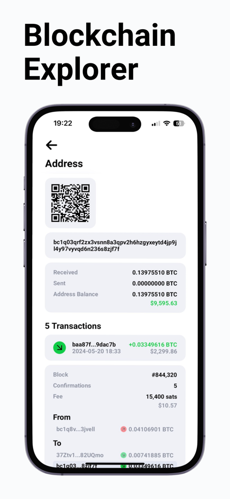 Bitcoin Tracker app Blockchain Explorer screen showing address balance and recent transaction history