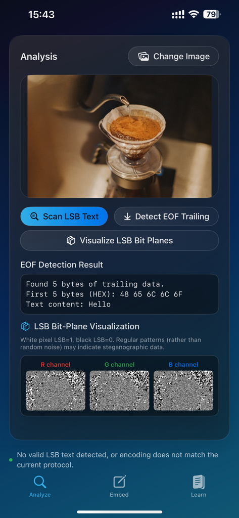 StegInsight - StegInsight app interface showing image analysis and bit plane visualization tools