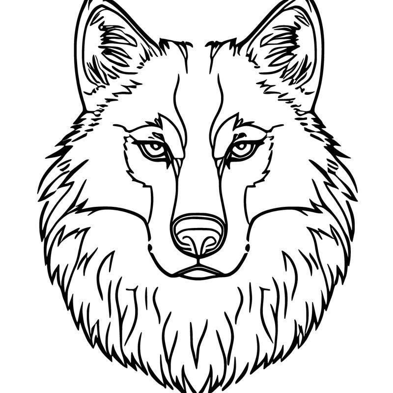 wolf