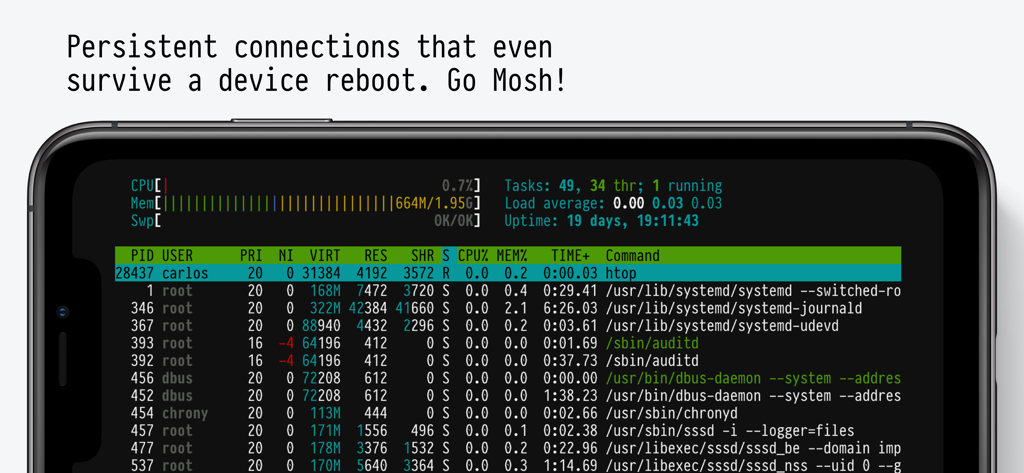 Blink Shell, Build & Code - Blink Shell App-Oberfläche, die ein mobiles Terminal mit einem Systemmonitor und persistenter Mosh-Verbindung zeigt