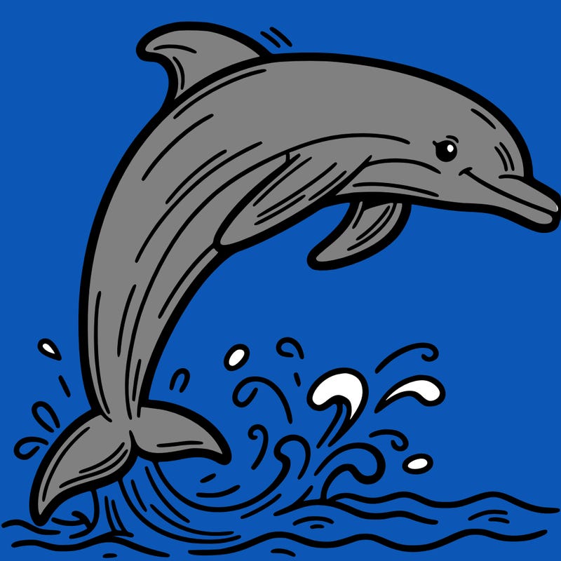 dolphin