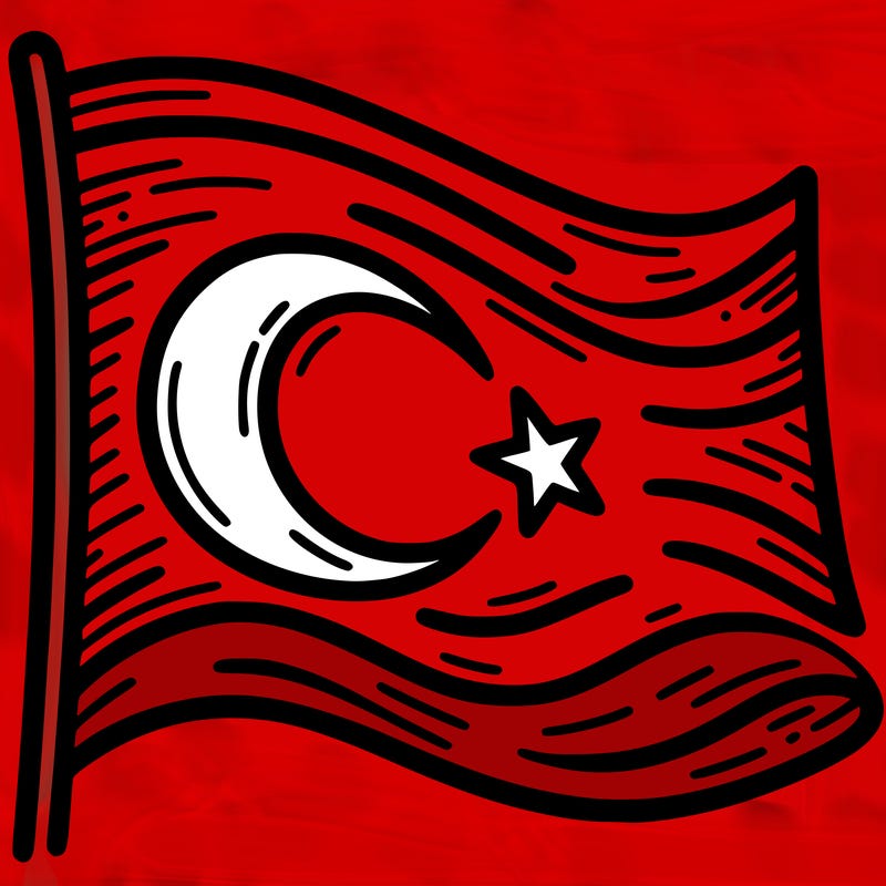 turkish bayraiği