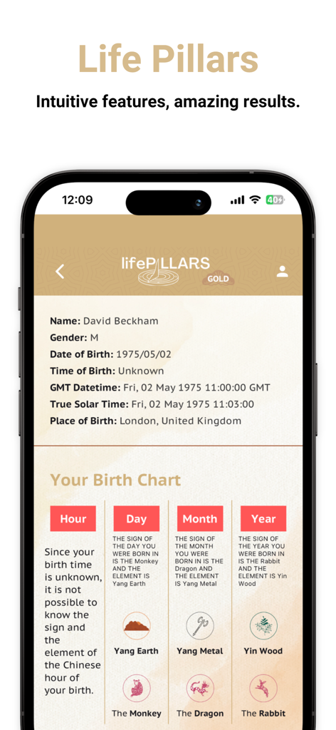 Life Pillars - Life Pillars app screenshot showing a detailed birth chart with Chinese astrology elements and zodiac signs