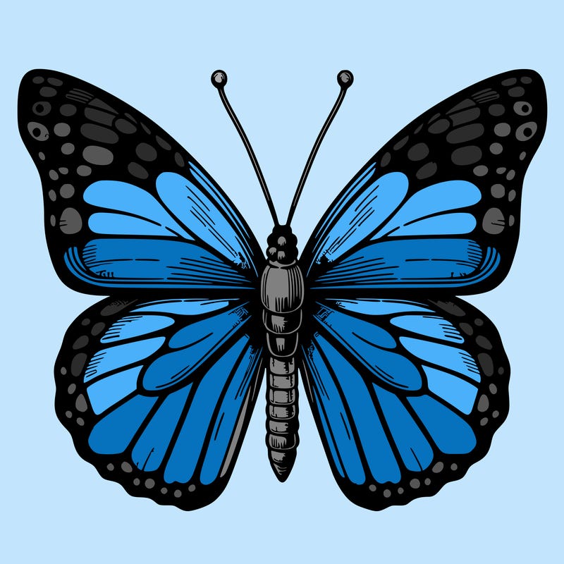 realistic butterfly