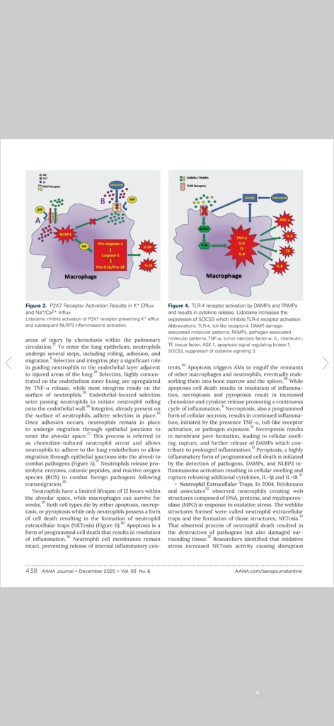 AANA Journal - Medical App | MWM