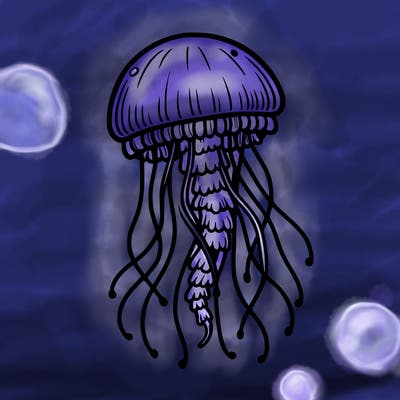 jellyfish