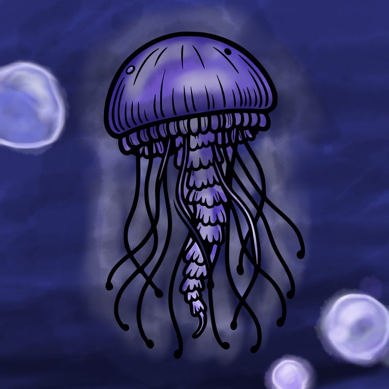 jellyfish