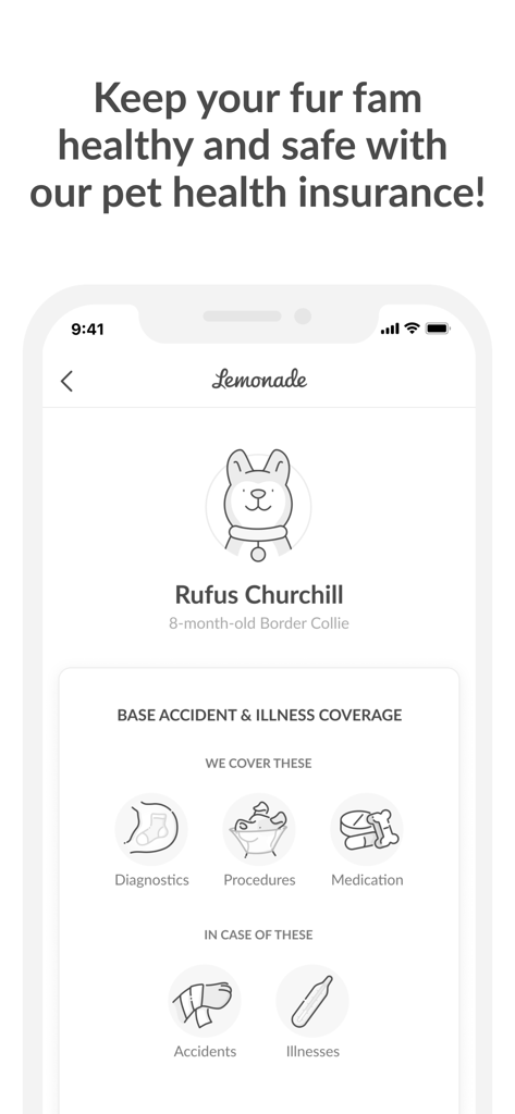 Lemonade Insurance - Lemonade app interface showing pet health insurance coverage options for accidents and illnesses