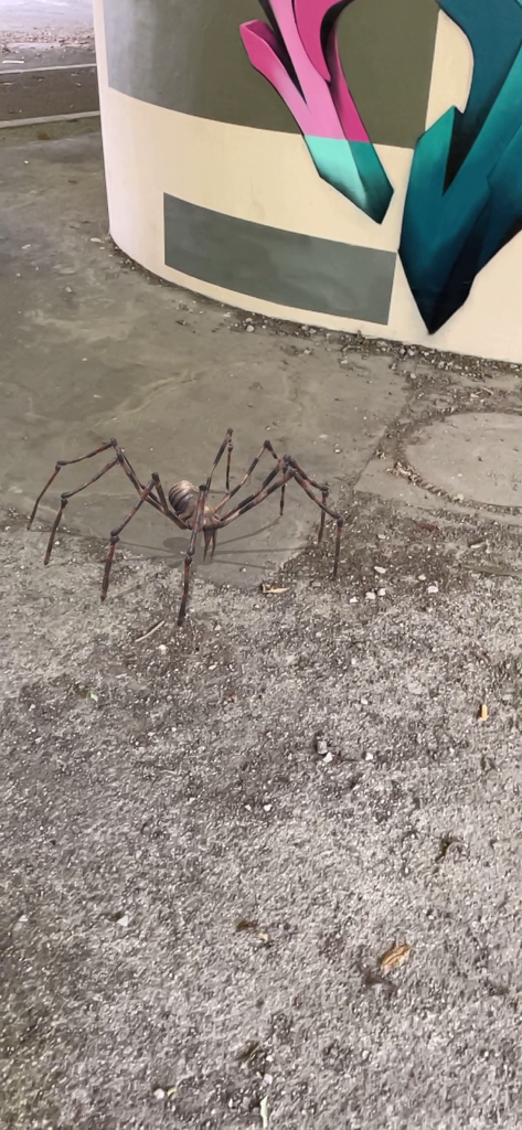 A realistic AR spider on a concrete floor