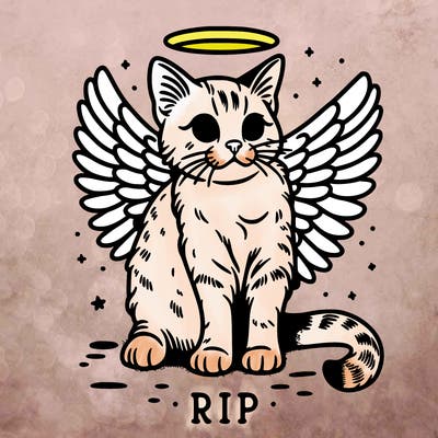 rip cat realistic cat with angel wings
