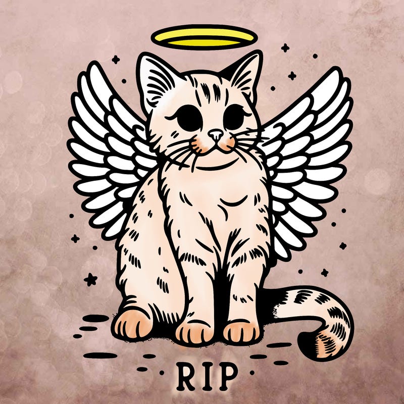 rip cat realistic cat with angel wings