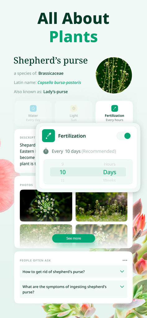 Botanica ID - Plant Identifier - Interface de l'application Botanica ID affichant les informations sur la plante de pourpier et les rappels d'entretien de fertilisation