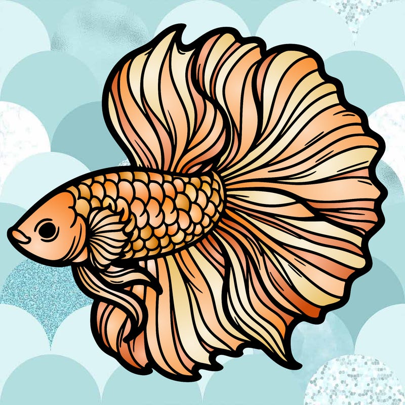 betta fish