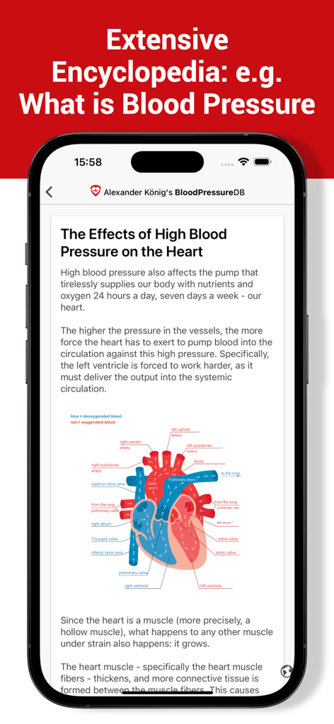 Blood Pressure DB - Log, Check - Lehrreicher Artikel über die Auswirkungen von Bluthochdruck auf das Herz mit einem Diagramm in der Blutdruck DB App