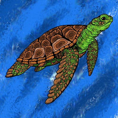sea_life_03