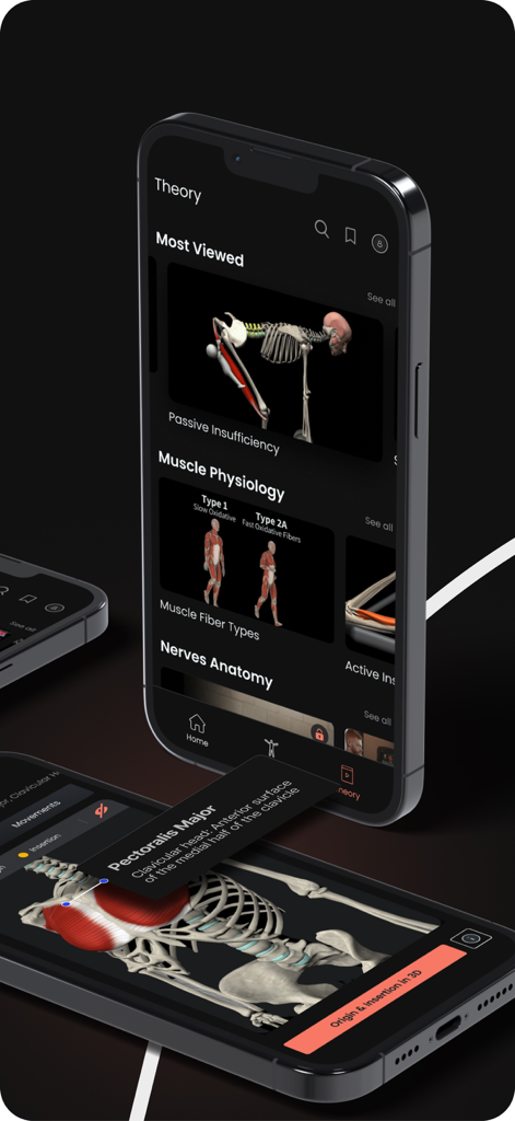 3D筋肉モデルと教育理論のレッスンを表示するAnatomy by M&Mアプリのスクリーンショット