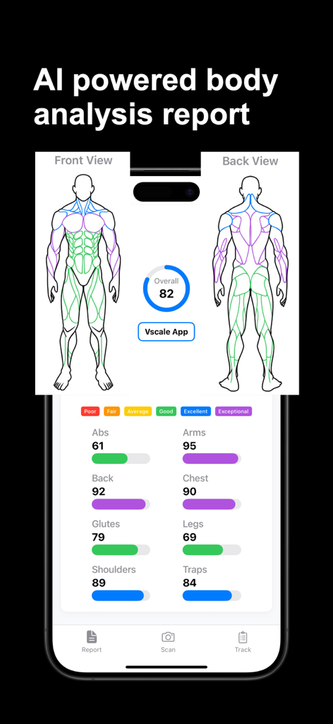 Vscale AI body analysis report displaying muscle group scores and physique tracking