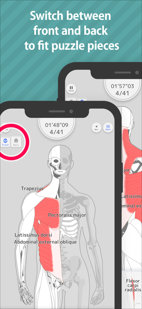 Enjoy Learning Muscles Puzzle - Games App | MWM