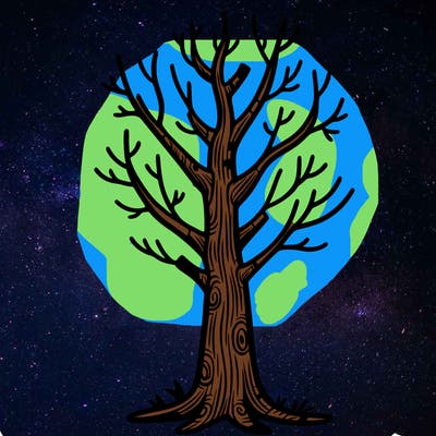 simple tree trunk without leaves