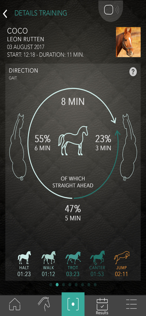 Detailed horse training analysis screen showing gaits and direction percentages