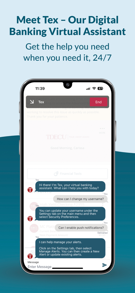 TDECU Digital Banking - TDECU Digital Banking virtual assistant Tex chat interface providing 24/7 customer support