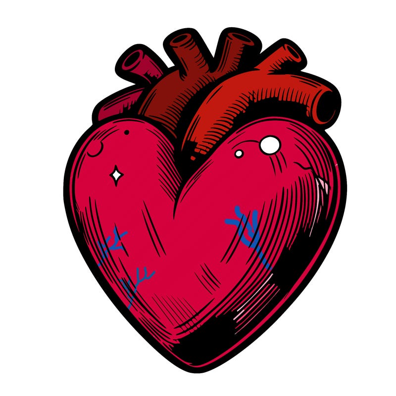 realistic heart