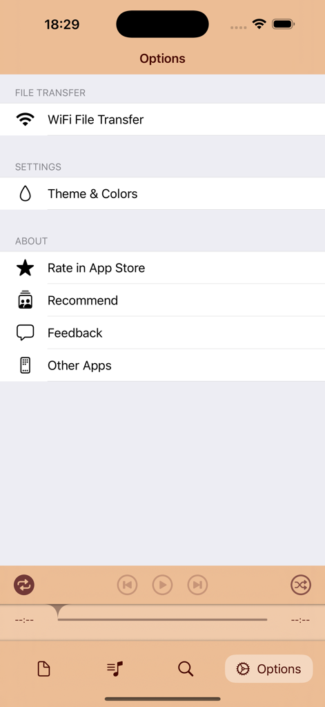 iMP3 app options screen displaying WiFi file transfer and theme customization settings