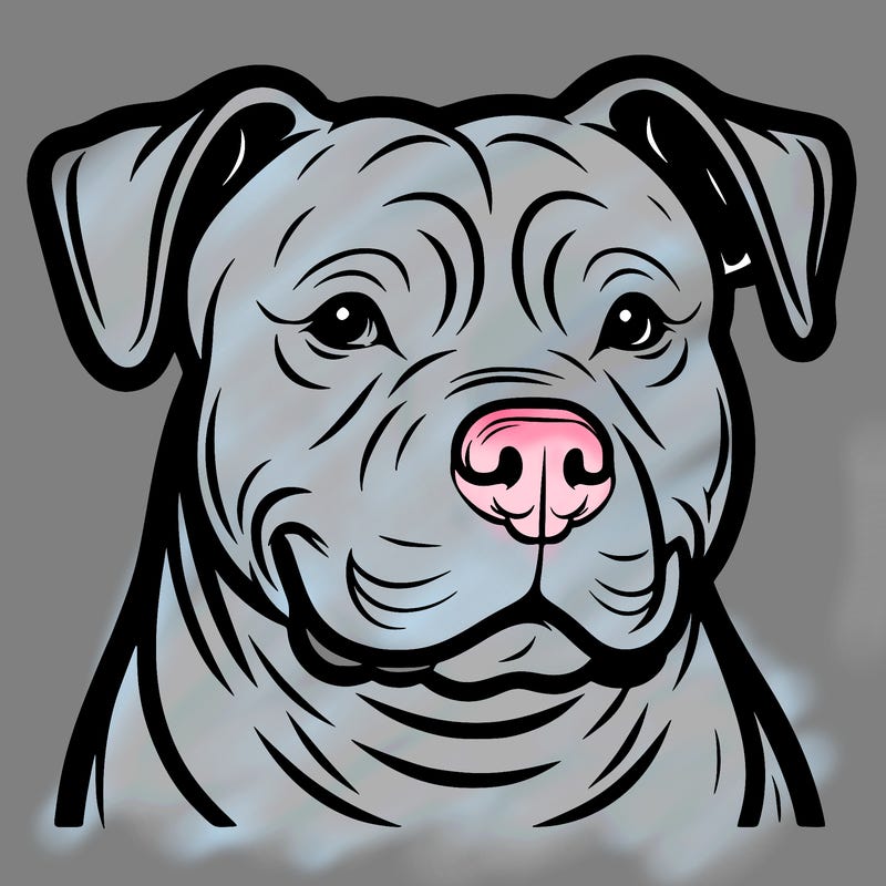 pitbull