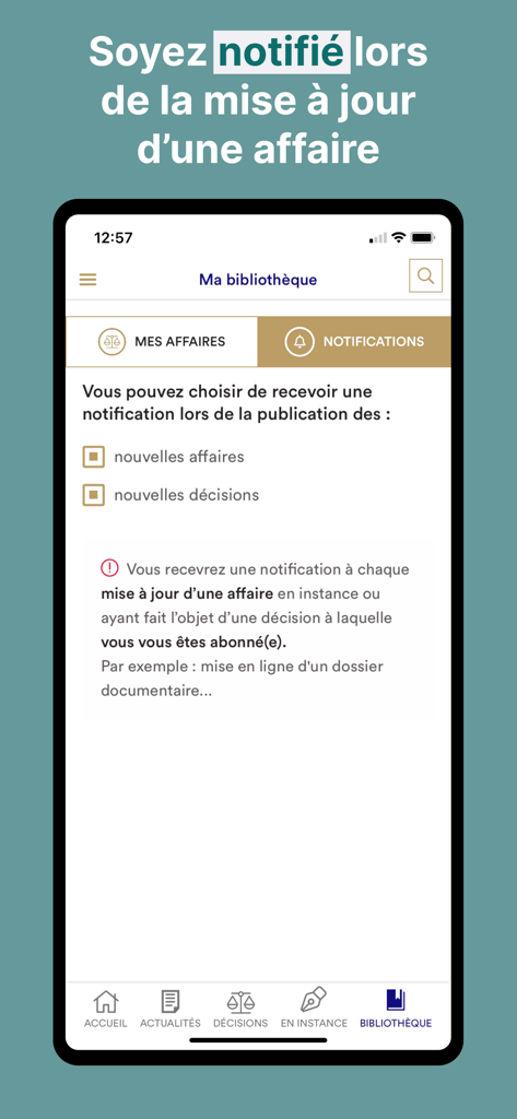 Conseil constitutionnel - Notification settings interface in the Conseil constitutionnel app for case updates and new decisions