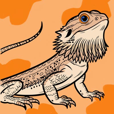 lizard bearded dragon