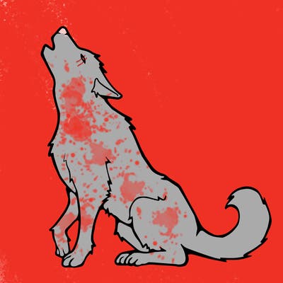 animals_36
