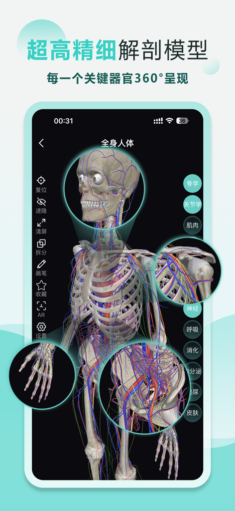 Modelo anatômico 3D do esqueleto e sistemas humanos com zoom detalhados