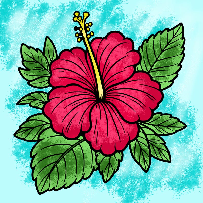 hibiscus flower