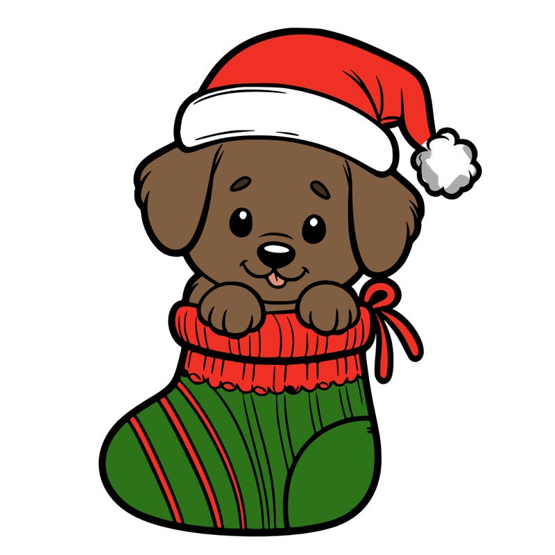 cute puppy wearing santa hat in socking