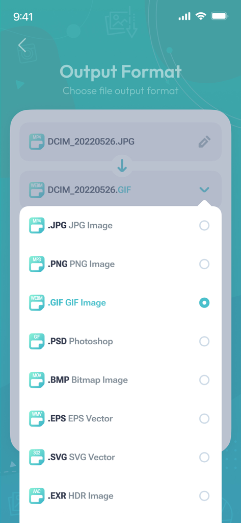 A list of image file format options like JPG PNG and GIF in an output format selection menu