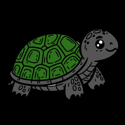 turtle