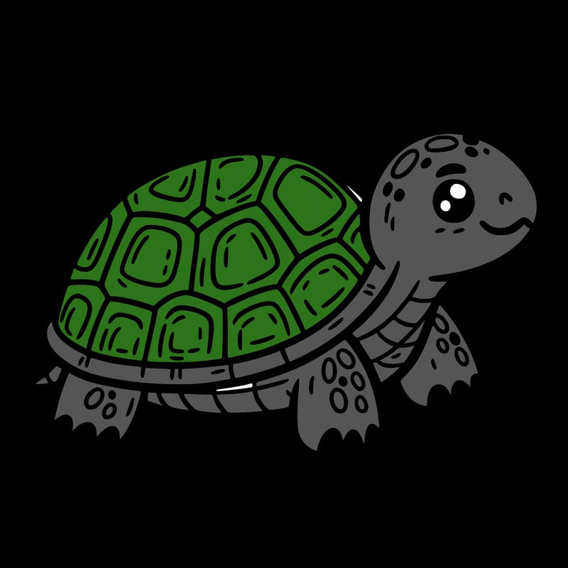 turtle