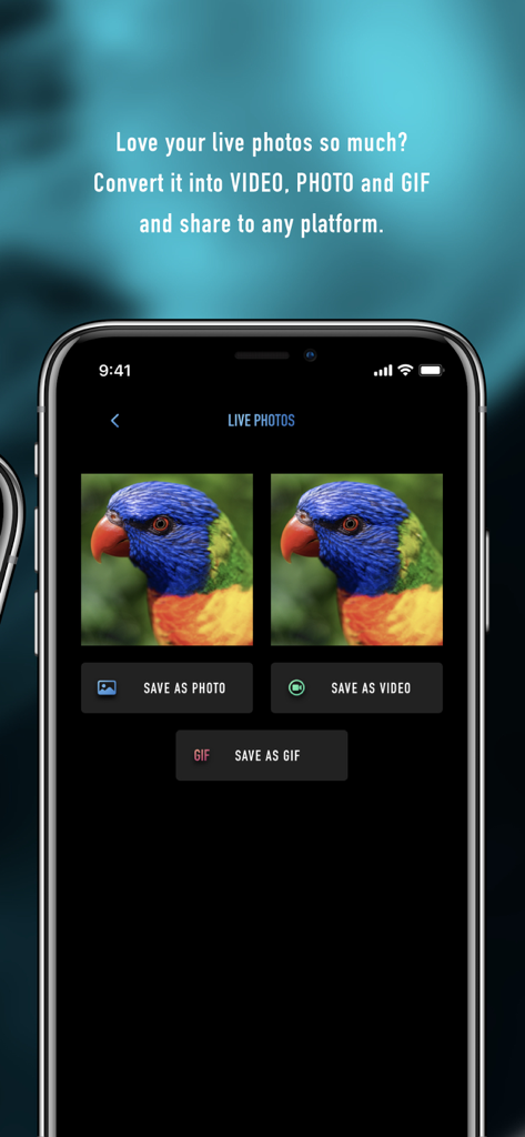 Lively Converter app interface displaying options to save Live Photos as video photo or GIF