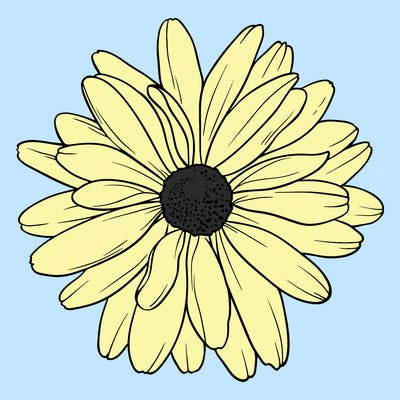 flowers_21