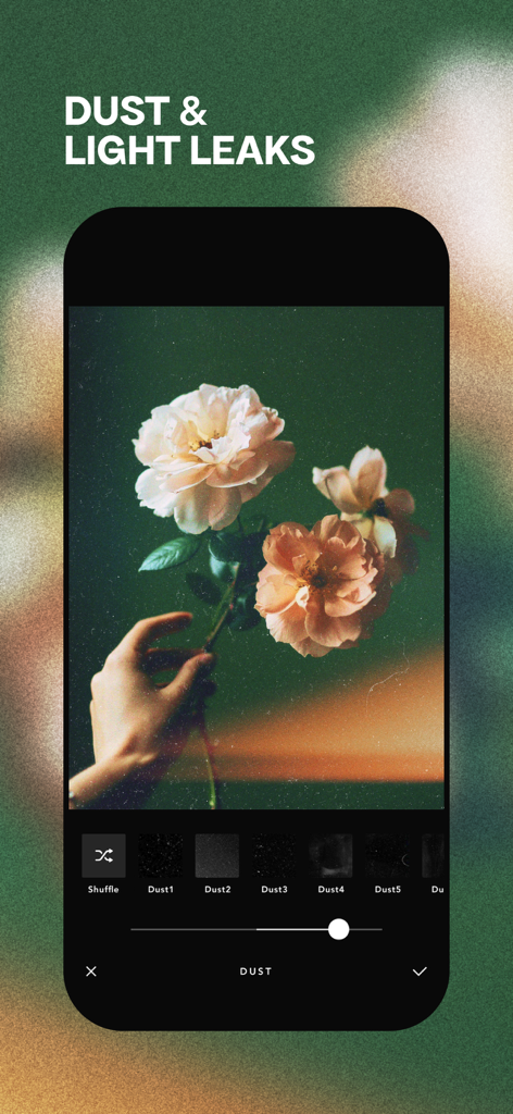 Afterlight: Film Photo Editor - Interfaz de la aplicación móvil Afterlight mostrando efectos de polvo y fugas de luz en una foto floral vintage