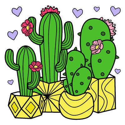 flowers_24_new