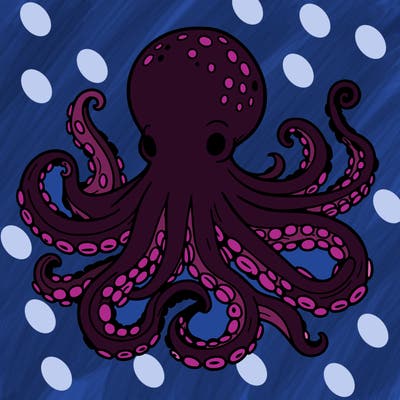 octopus