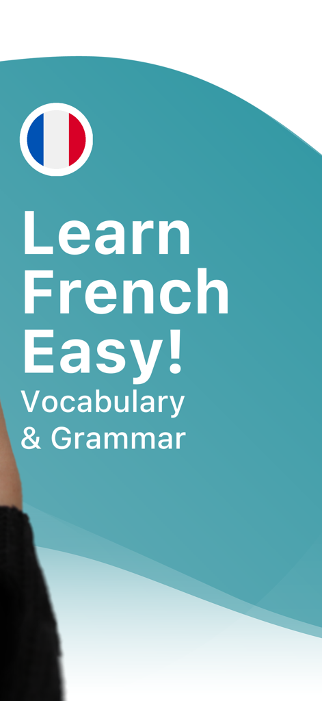 Learn French Easy! 語彙と文法、フランス国旗のバナー。