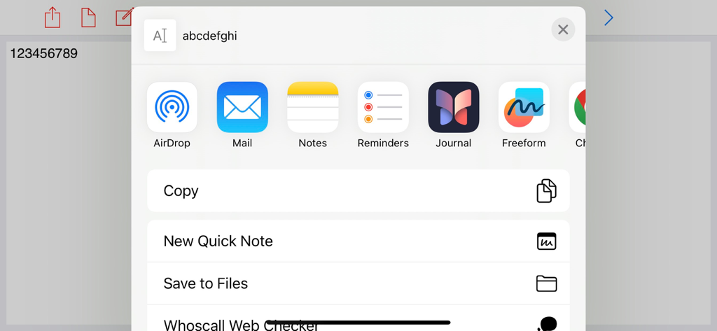 iOS share menu within the Dual WordPad app showing options for AirDrop, Mail, and saving notes.
