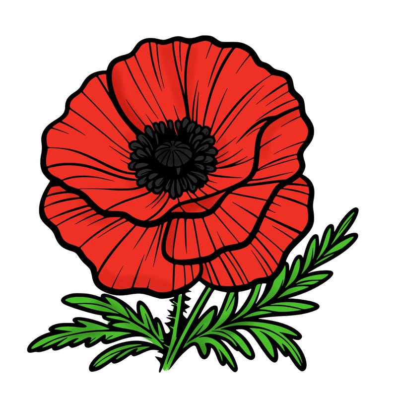 poppy