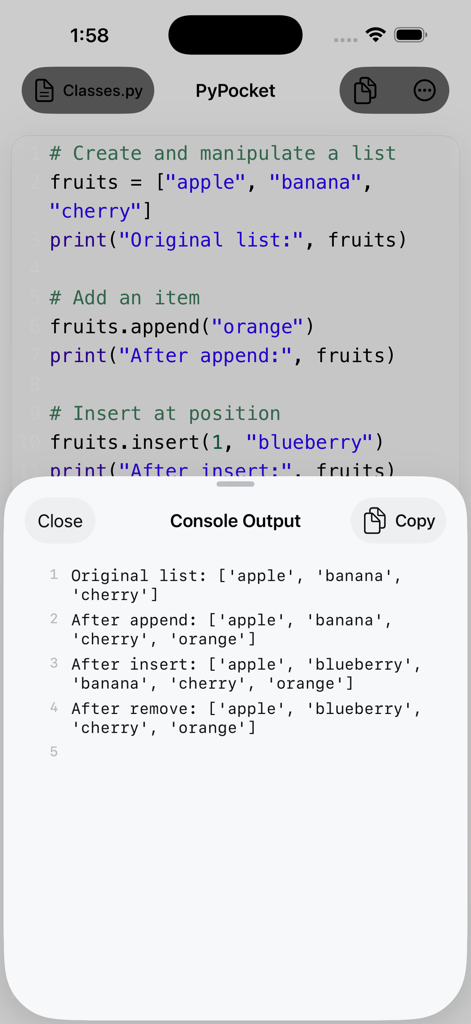 PyPocket mobile app showing Python code and console output on an iPhone