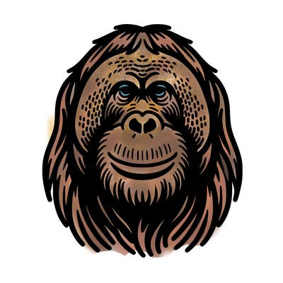 orangutan