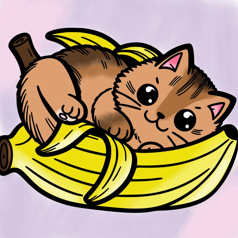 cat in banana peel