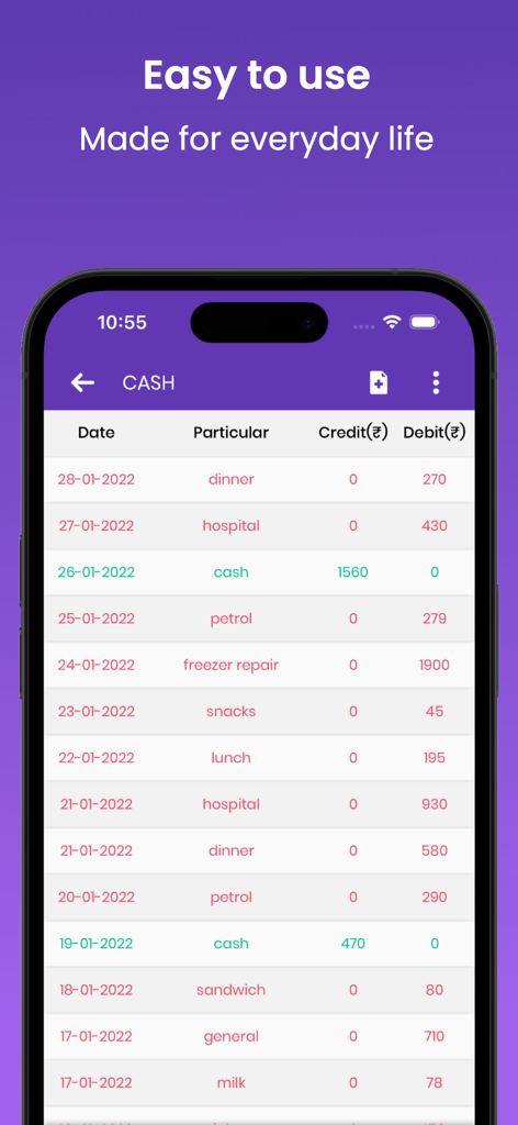 Account Manager - Ledger Book - Digital ledger interface displaying a list of cash transactions with dates and descriptions.
